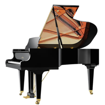 TC-SCH-C189-TRADITION-principal