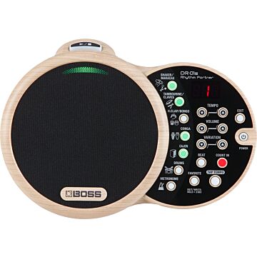 DR-01S Rhythm Partner