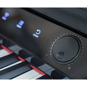 Piano Digital Pearl River V07