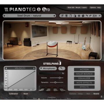 Pianoteq Steel Pans Add-On - PIANOTEQ  | Libraries