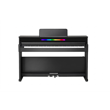 Bulara Hailun H505 Piano Digital