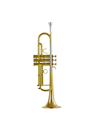 Der Loewe DLTR-160 Trompete Dourado - Vista Frontal