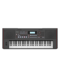 Roland E-X50 Teclado Musical Digital 61 Teclas Show-Room