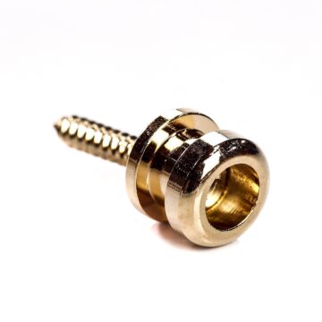 Comprar Roldana Trava Correia Dourada (12 Peças) Spirit Lock PIN-GD - 1 Comprar Roldana Trava Correia Dourada (12 Peças) Spirit Lock PIN-GD - 1