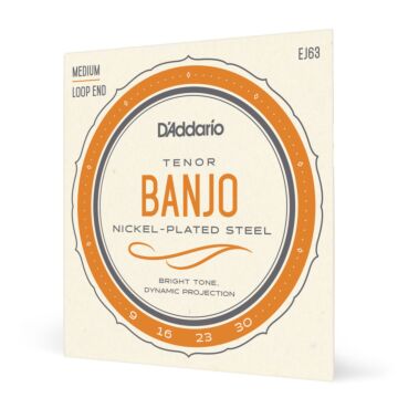 Encordoamento Banjo Tenor D Addario Nickel Plated Steel EJ63 1