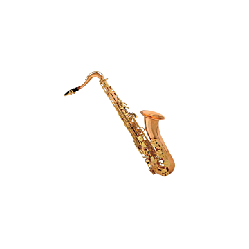 Comprar Saxofone Der Loewe DLSS-170 - 1