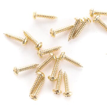 Comprar Parafuso Tarraxas WR2.1.0x10.0 Dourado (24 Peças) Spirit - 1