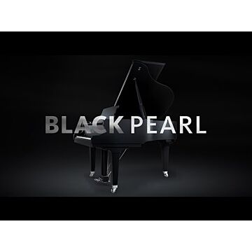 Comprar Piano Acústico Cauda Schimmel Classic C169 Black Pearl Alemanha - 1