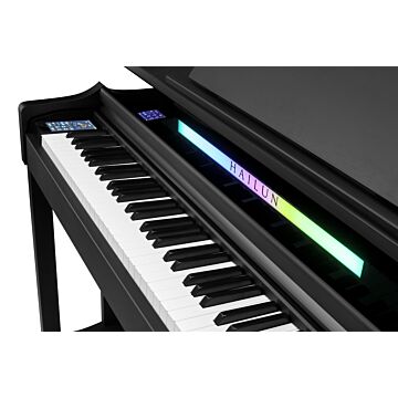 Comprar Piano Digital Bulara Hailun H305 | Teclado VPAS-IV 3 Sensores e Afinação Vocal IA - 1
