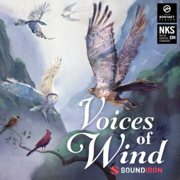 Comprar Voices of Wind Collection - SOUNDIRON | Libraries - 1